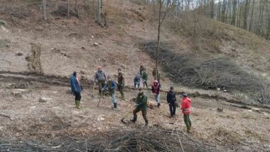 FOTO: Info Bijeljina